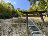 Bambuswald am Fushimi Inari Taisha