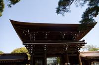 Besuch des Meiji Schrein in Tokio