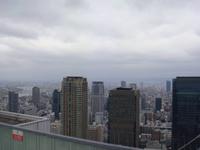 Blick über OSAKA
