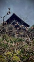 Daisho-in Temple, Setonaikai National Park, Hatsukaichi, Hiroshima, Japan
