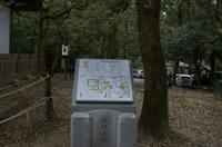 Gemeinsamer Spaziergang durch den Nara-Park