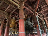 Größter Bronzwbuddha der Welt