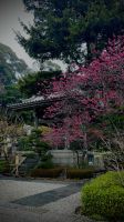Hase-dera Temple, Kamakura, Kanagawa, Japan