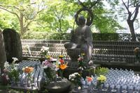 Hase-dera-Tempel Kamakura