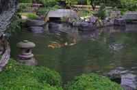 Hasedera - Kamakura
