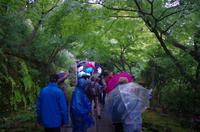 Hasedera - Kamakura