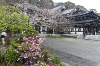 Hasedera-Tempel