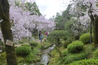 Heian-Jingu-Schrein
