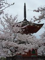 Insel Miyajima - Pagode
