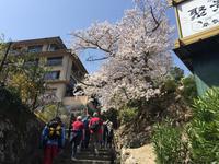Insel Miyajima