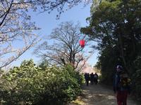 Insel Miyajima