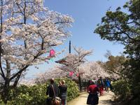 Insel Miyajima
