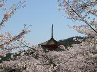Insel Miyajima
