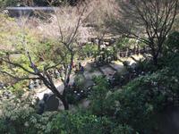 Insel Miyajima