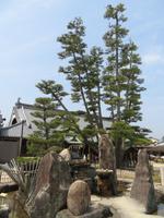 Insel Miyajima
