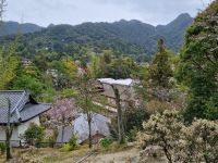 Insel Miyajima