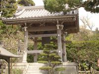 Kamakura - Im Garten des Hasedera-Tempels