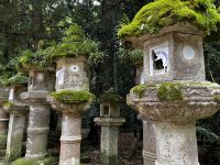 Kasugataisha Schrein