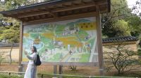 Kinkakuji Tempel (Goldener Pavillon)