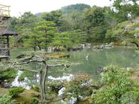 Kyoto - Rokuonji-Tempel