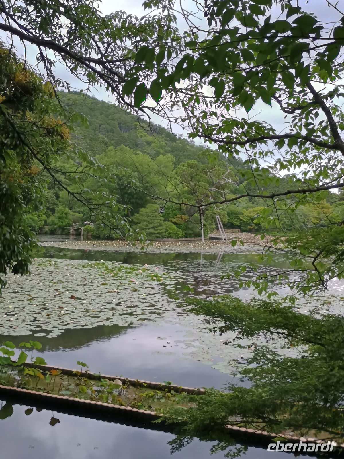 Kyoto