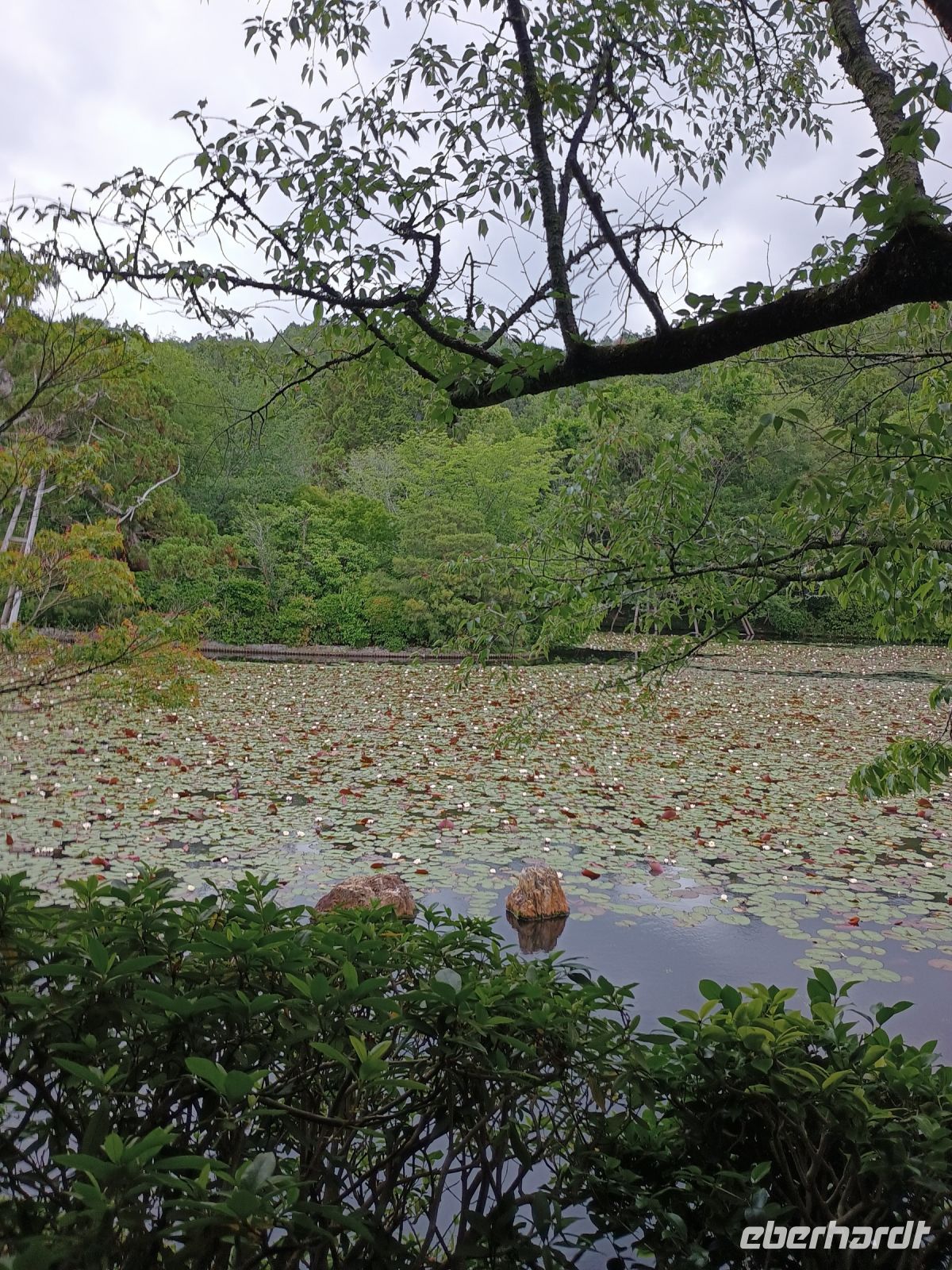 Kyoto