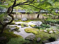 Kyoto