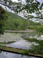 Kyoto