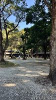 Meiji Jingu, Shibuya, Tokyo, Japan