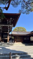 Meiji Jingu, Shibuya, Tokyo, Japan