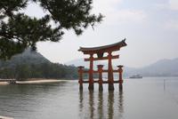 Miyajima