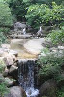 Momijidani Park