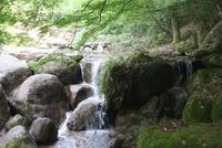 Momijidani Park