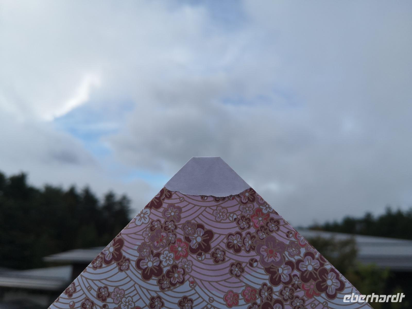 Mt. Fuji