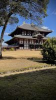 NARA PARK, Nara, Japan