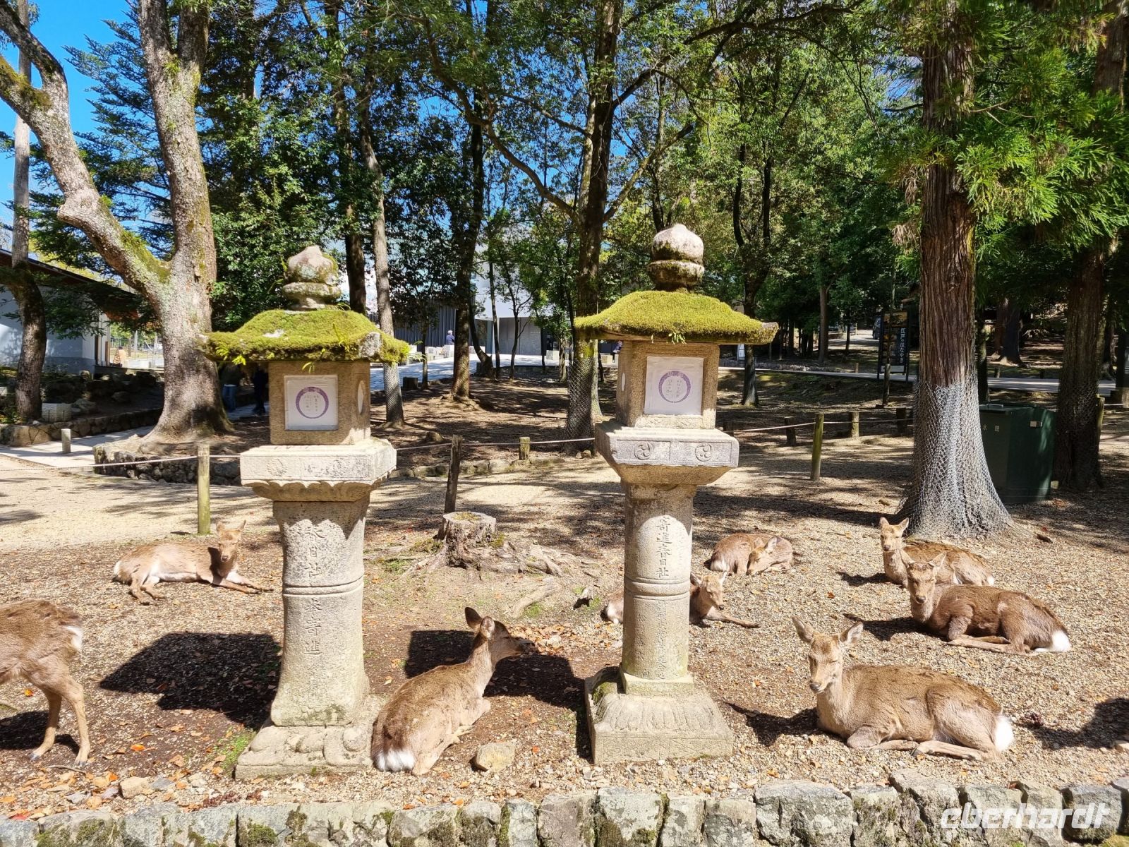 Nara - Nara-Park
