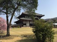 Nara - Todaiji-Tempel