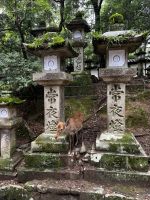 Nara Park 