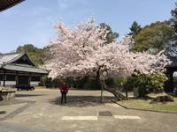 Nara-Park