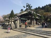 Nara-Park