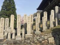 Nara-Park