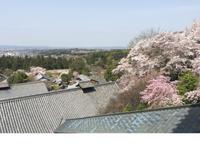 Nara-Park
