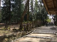 Nara-Park