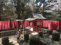 Nara-Park