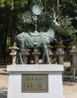 Nara