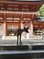 Nara