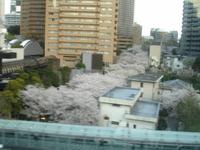 Nikko - Rückfahrt, Blick auf Tokio aus dem Bus
