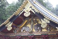 Nikko