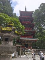 Nikko