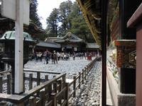 Nikko_4